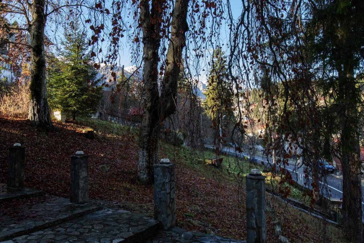 Hotel Vila Retezat Sinaia Zewnętrze zdjęcie