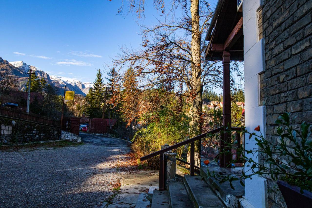 Hotel Vila Retezat Sinaia Zewnętrze zdjęcie